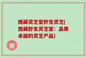 西藏灵芝堂野生灵芝(西藏野生灵芝堂：品质卓越的灵芝产品)