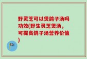 野灵芝可以煲鸽子汤吗功效(野生灵芝煲汤，可提高鸽子汤营养价值)