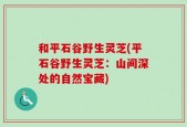 和平石谷野生灵芝(平石谷野生灵芝：山间深处的自然宝藏)