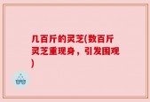 几百斤的灵芝(数百斤灵芝重现身，引发围观)