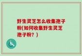 野生灵芝怎么收集孢子粉(如何收集野生灵芝孢子粉？)
