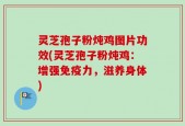 灵芝孢子粉炖鸡图片功效(灵芝孢子粉炖鸡：增强免疫力，滋养身体)