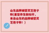 山东品牌破壁灵芝孢子粉(重塑养生新标杆，来自山东的品牌破壁灵芝孢子粉！)