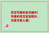 灵芝可爱的宝贝图片(可爱的灵芝宝宝照片，又萌又惹人爱)