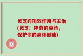 灵芝的功效作用与主治(灵芝：神奇的草药，保护你的身体健康)