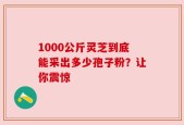 1000公斤灵芝到底能采出多少孢子粉？让你震惊