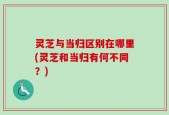 灵芝与当归区别在哪里(灵芝和当归有何不同？)