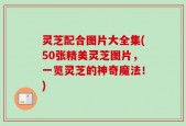 灵芝配合图片大全集(50张精美灵芝图片，一览灵芝的神奇魔法！)