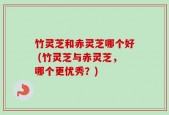 竹灵芝和赤灵芝哪个好 (竹灵芝与赤灵芝，哪个更优秀？)