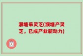 濮塘采灵芝(濮塘产灵芝，已成产业新动力)