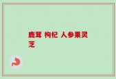 鹿茸 枸杞 人参果灵芝