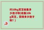 约10kg灵芝收集多少孢子粉(收集10kg灵芝，获得多少孢子粉？)