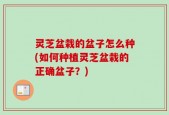 灵芝盆栽的盆子怎么种(如何种植灵芝盆栽的正确盆子？)