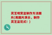 灵芝观赏盆制作方法图片(用图片演示，制作灵芝盆花式！)