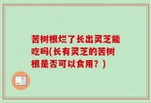 苦树根烂了长出灵芝能吃吗(长有灵芝的苦树根是否可以食用？)