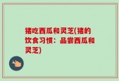 猪吃西瓜和灵芝(猪的饮食习惯：品尝西瓜和灵芝)