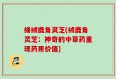 细绒鹿角灵芝(绒鹿角灵芝：神奇的中草药重现药用价值)
