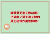 破壁灵芝孢子粉功用？已采集了灵芝孢子粉的灵芝功效作用怎样呢？