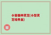 小容器种灵芝(小型灵芝培养盒)