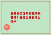 金寨赤灵芝喷射孢子粉养殖？安徽金寨有什么特产