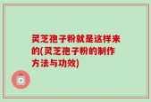 灵芝孢子粉就是这样来的(灵芝孢子粉的制作方法与功效)