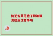 仙芝谷灵芝孢子粉加盟流程及注意事项