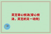 灵芝穿心榜汤(穿心榜汤，灵芝的又一功效)