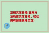 正规灵芝养殖(正规方法教你灵芝养殖，轻松拥有健康美味灵芝)