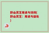 野山灵芝用途与功效(野山灵芝：用途与益处)