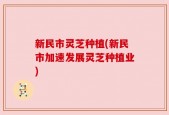 新民市灵芝种植(新民市加速发展灵芝种植业)