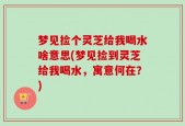 梦见捡个灵芝给我喝水啥意思(梦见捡到灵芝给我喝水，寓意何在？)