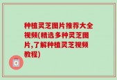 种植灵芝图片推荐大全视频(精选多种灵芝图片,了解种植灵芝视频教程)