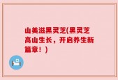山美滋黑灵芝(黑灵芝高山生长，开启养生新篇章！)