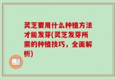 灵芝要用什么种植方法才能发芽(灵芝发芽所需的种植技巧，全面解析)