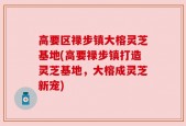 高要区禄步镇大榕灵芝基地(高要禄步镇打造灵芝基地，大榕成灵芝新宠)