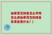 仙草灵芝拼音怎么写呀怎么读仙草灵芝的拼音及发音是什么？)