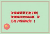 白银破壁灵芝孢子粉(白银掀起抢购风潮，灵芝孢子粉成新宠！)