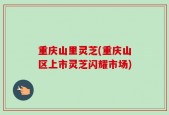 重庆山里灵芝(重庆山区上市灵芝闪耀市场)