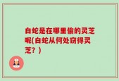 白蛇是在哪里偷的灵芝呢(白蛇从何处窃得灵芝？)