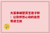 大苗寨破壁灵芝孢子粉：让你怦然心动的自然奇迹之旅