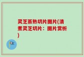 灵芝蒸熟切片图片(清煮灵芝切片：图片赏析)