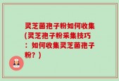 灵芝菌孢子粉如何收集(灵芝孢子粉采集技巧：如何收集灵芝菌孢子粉？)
