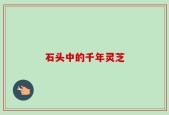 石头中的千年灵芝