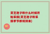 灵芝孢子粉什么时候开始采摘(灵芝孢子粉采摘季节即将到来)