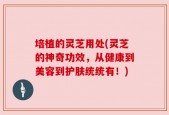 培植的灵芝用处(灵芝的神奇功效，从健康到美容到护肤统统有！)