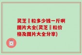 灵芝粿粒多少钱一斤啊图片大全(灵芝粿粒价格及图片大全分享)