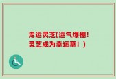 走运灵芝(运气爆棚！灵芝成为幸运草！)