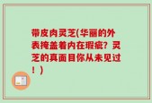 带皮肉灵芝(华丽的外表掩盖着内在瑕疵？灵芝的真面目你从未见过！)