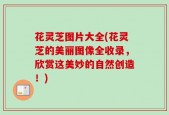 花灵芝图片大全(花灵芝的美丽图像全收录，欣赏这美妙的自然创造！)