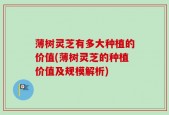 薄树灵芝有多大种植的价值(薄树灵芝的种植价值及规模解析)